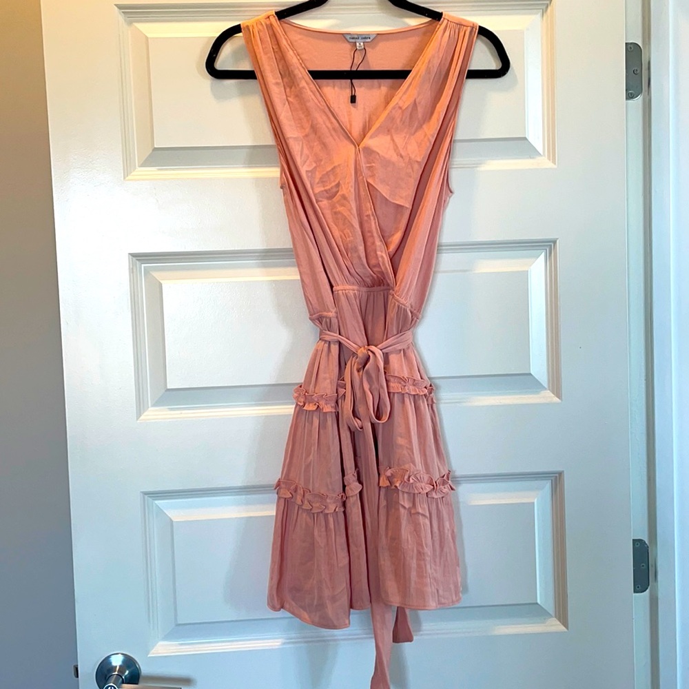 Naked Zebra Blush Dress-